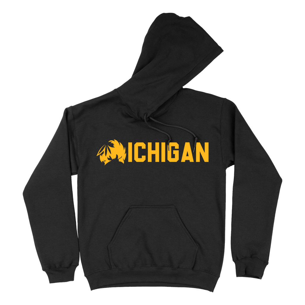 Mblem Michigan Pullover Hoodie Black